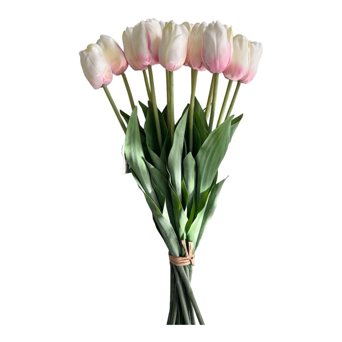 Tulpenbund Creme/Rosa 12 Stiele