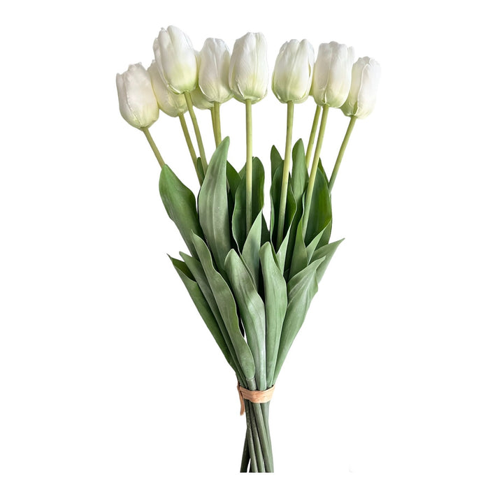 Tulpenbund Weiß 12 Stiele