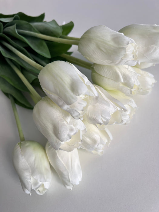 Tulpenbund Weiß 12 Stiele