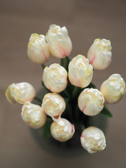 Tulpenbund Creme/Rosa 12 Stiele