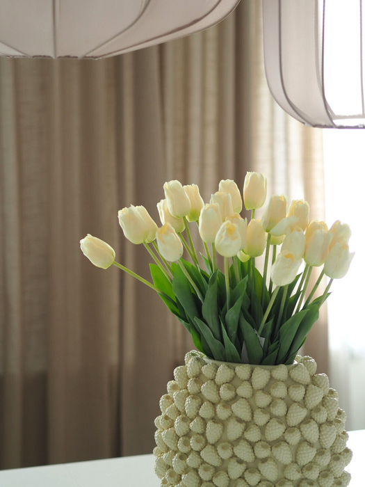 Tulpenbund Creme 12 Stiele