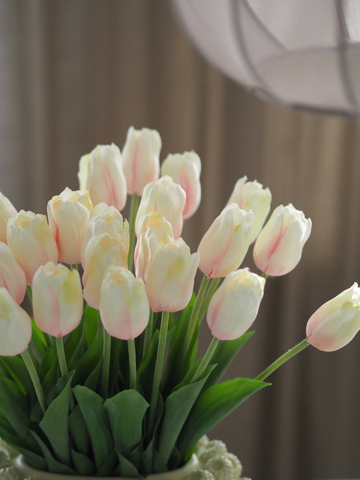Tulpenbund Creme/Rosa 12 Stiele