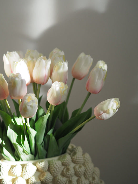 Tulpenbund Creme/Rosa 12 Stiele