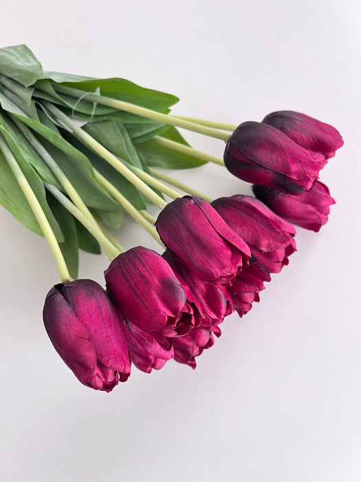 Tulpenbund Weinrot 12 Stiele