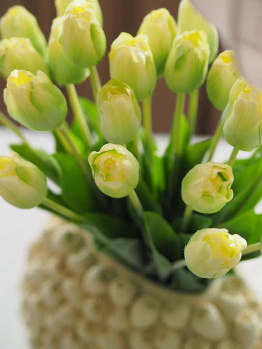 Tulpenbund Creme/Grün 12 Stiele