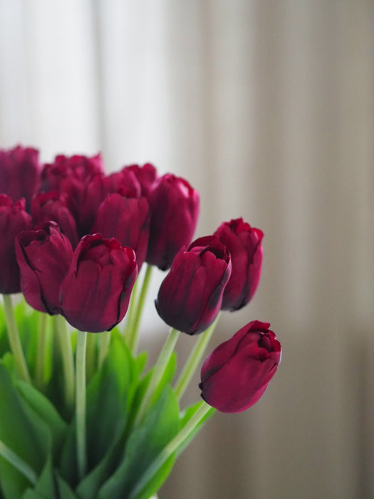 Tulpenbund Weinrot 12 Stiele