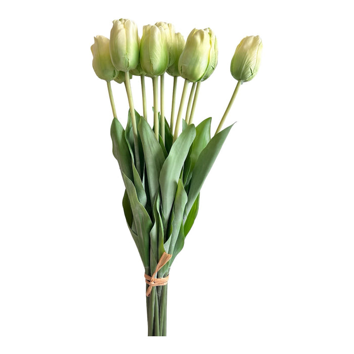 Tulpenbund Creme/Grün 12 Stiele