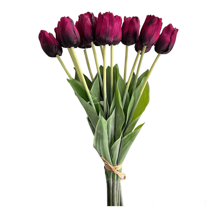 Tulpenbund Weinrot 12 Stiele